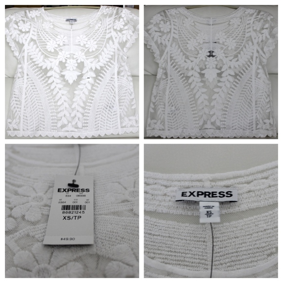 Express Short Sleeve Baroque Lace Tee Bundle - Picture 4 of 8